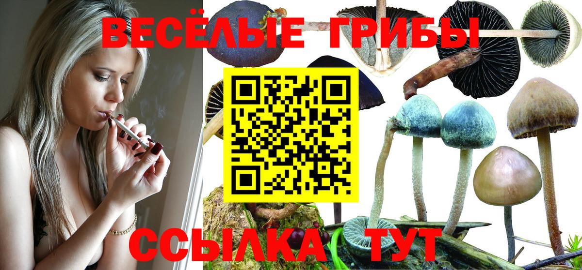 Галлюциногенные грибы Magic Shrooms Гусиноозёрск