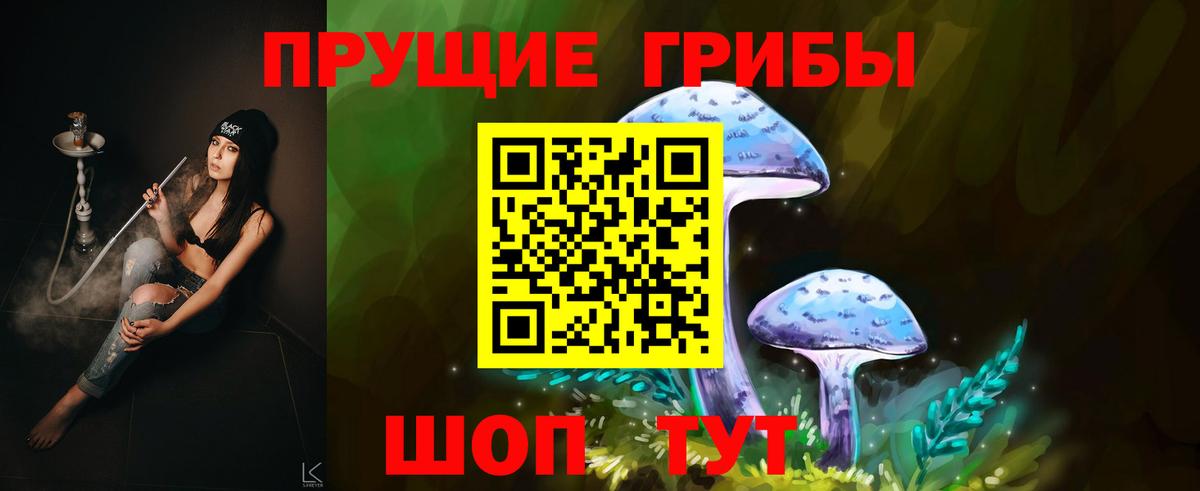 Галлюциногенные грибы ЛСД  Галлюциногенные грибы мицелий  Гусиноозёрск  дарнет шоп  Вход с VPN 